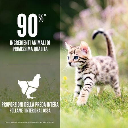 null - Product image 4.0